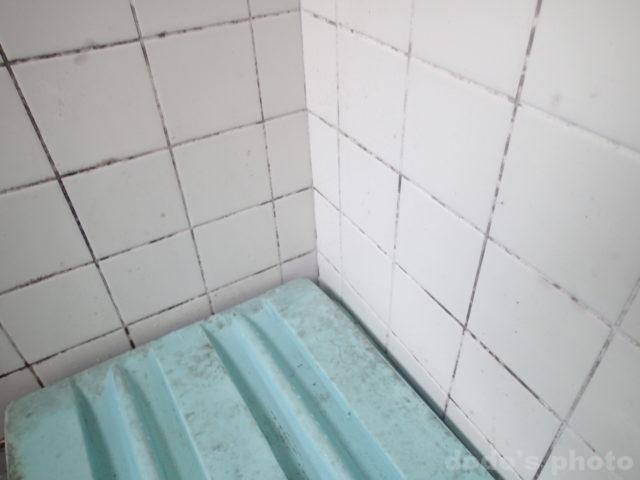 浴室の壁面のカビ