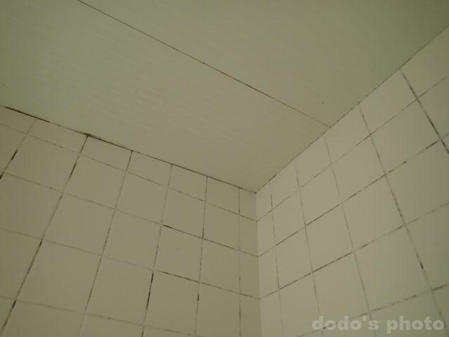 浴室の壁面・天井（清掃後）